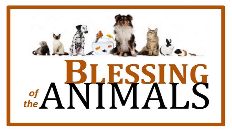 BLESSING OF THE ANIMALS - Reformation Lutheran Church