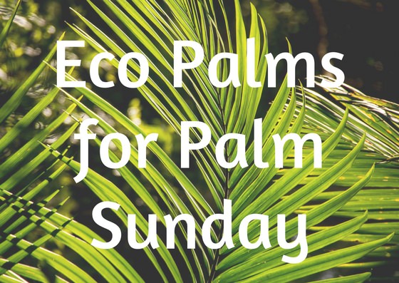 Eco Palms Help Our Planet