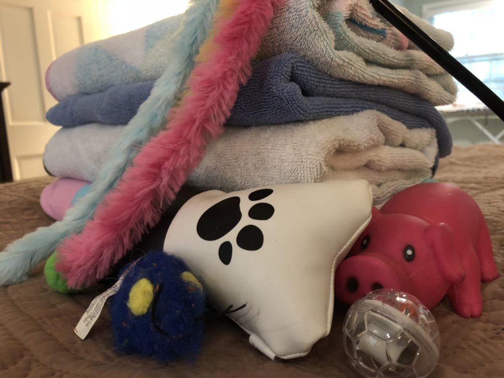 Animal Toys and Towels Collection