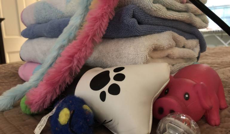 Animal Toys and Towels Collection