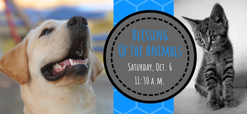 animalblessing.jpg