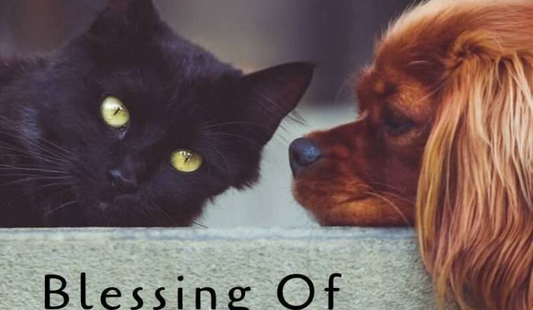 Blessing of the Animals on Oct. 2