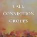 Fall Connection Groups