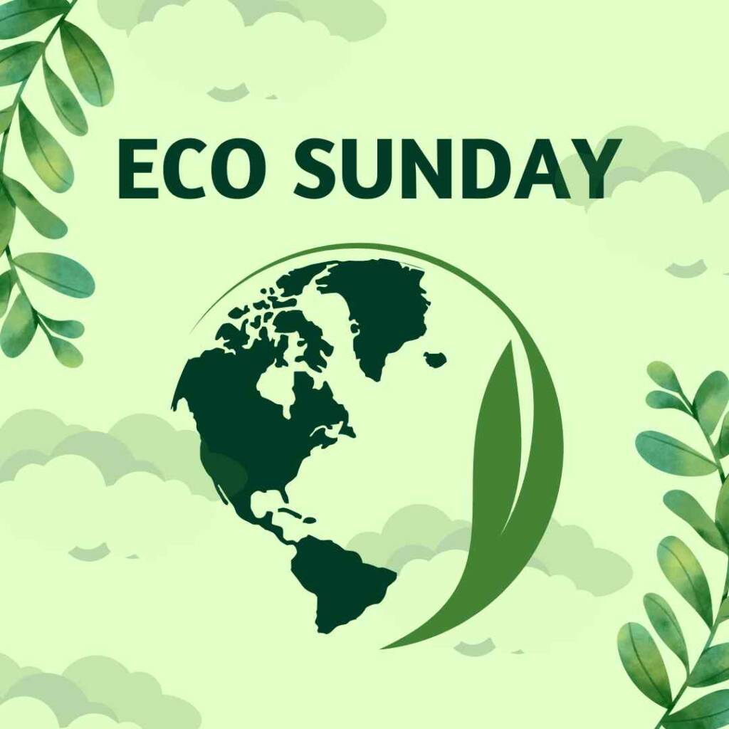 Eco Sunday 2023