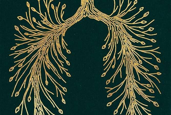 February 2026 Pastor’s Blog