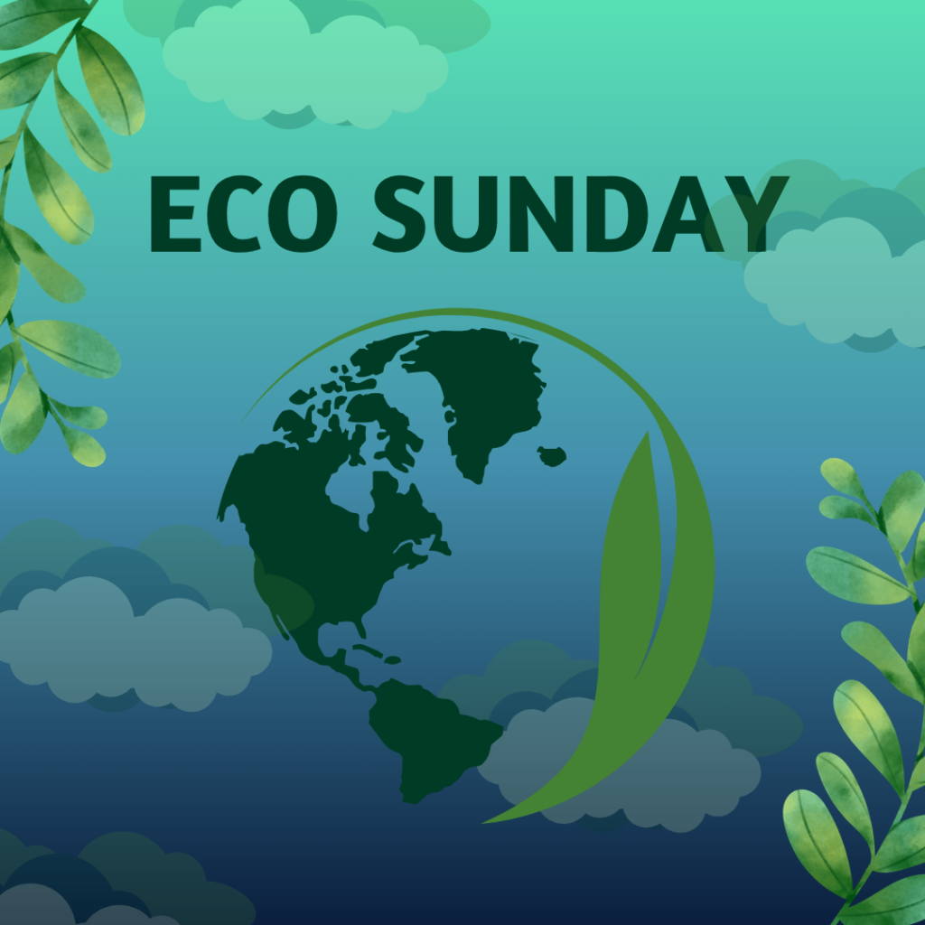 Eco Sunday 2026