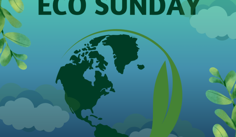 Eco Sunday 2026